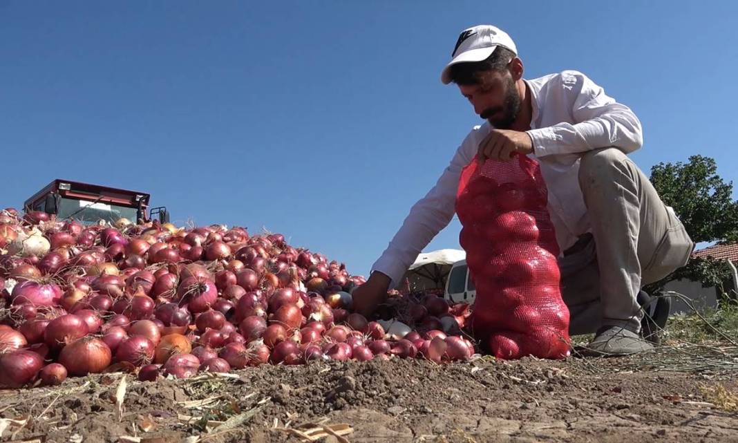 Bu köyde yaşayanlar paraya para demiyorlar! Topraktan adeta para fışkırıyor: Tescilli sebze, sadece orada yetişiyor 3